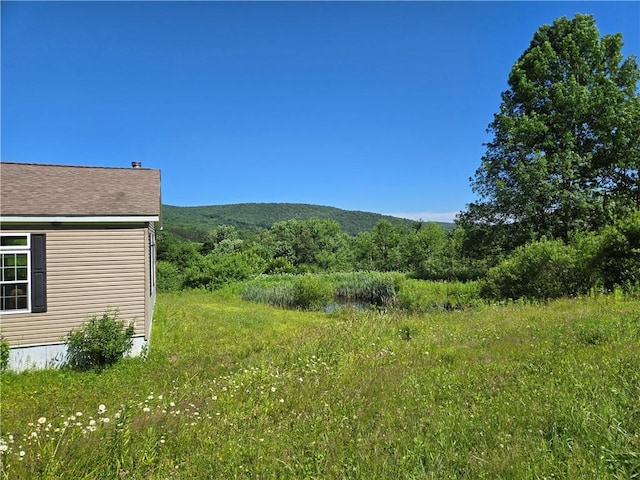 4197 County Highway 26, Colchester, NY 13782 - view of yard
