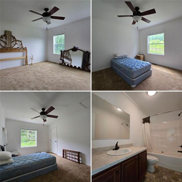 4197 County Highway 26, Colchester, NY 13782 - bedroom with multiple windows, carpet, ensuite bathroom, ceiling fan, and crown molding