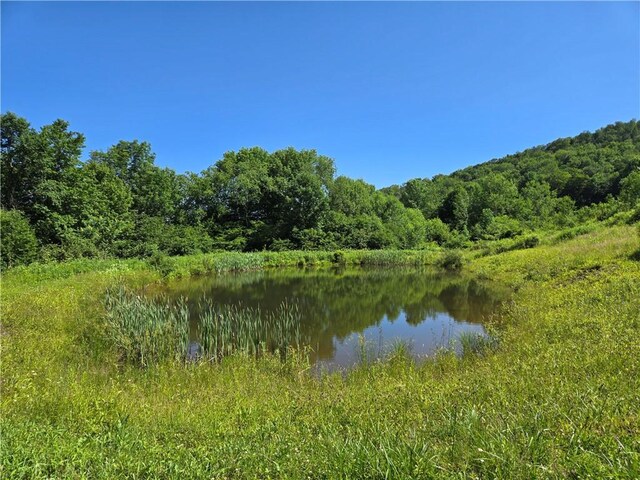 4197 County Highway 26, Colchester, NY 13782 - water view with a forest
