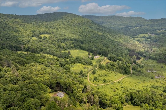 4197 County Highway 26, Colchester, NY 13782 - view of mountain backdrop featuring a heavily wooded area