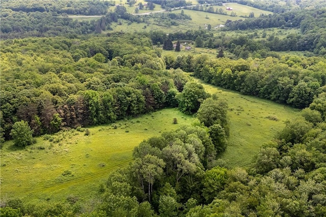 4197 County Highway 26, Colchester, NY 13782 - bird's eye view of a forest