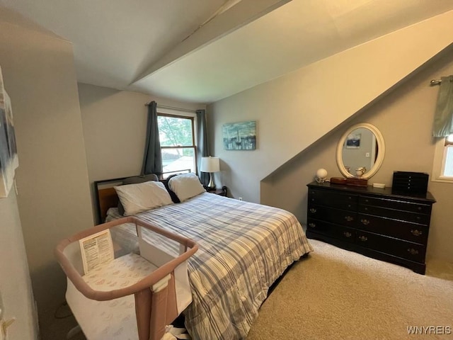 141 Fairvale Dr, Cheektowaga, NY 14225 - photo 22