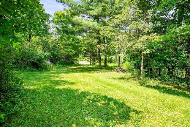 7676 Bean Station Rd, Urbana, NY 14840 - photo 25