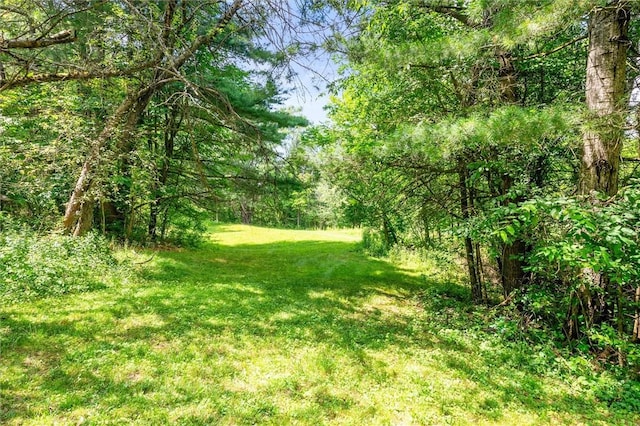 7676 Bean Station Rd, Urbana, NY 14840 - photo 27
