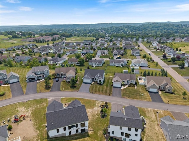 3758 Malibu Hills Dr, Camillus, NY 13209 - photo 48