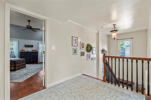 5 Mary St, Auburn, NY 13021 - photo 18