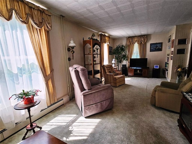 7 Monticello St, Richfield, NY 13439 - photo 8