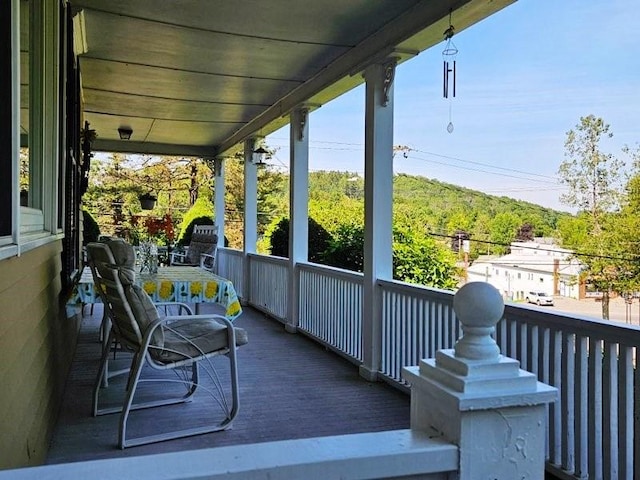 7 Monticello St, Richfield, NY 13439 - photo 30