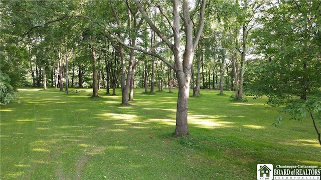 24 W 2nd St, Westfield, NY 14787 - view of grassy yard