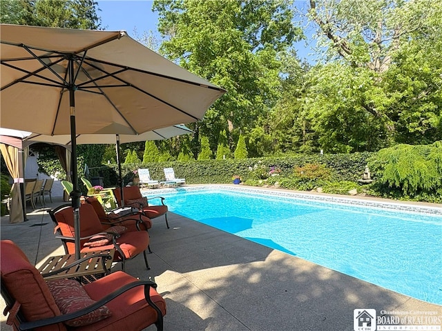 24 W 2nd St, Westfield, NY 14787 - view of pool featuring a patio and a fenced backyard