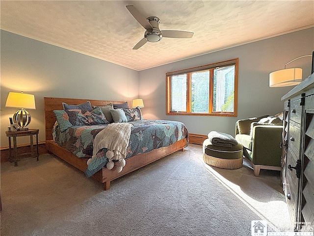 24 W 2nd St, Westfield, NY 14787 - carpeted bedroom featuring a textured ceiling and ceiling fan