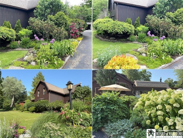 24 W 2nd St, Westfield, NY 14787 - view of a document with a collage of images
