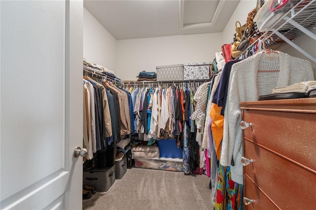 37 Etherington Cres, Chili, NY 14428 - walk in closet featuring attic access and carpet