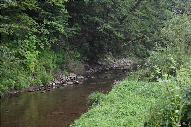 8787 Rte 242, Little Valley, NY 14755 - photo 10