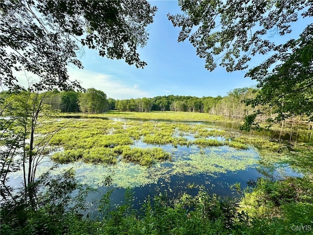 352 Sloperville Rd, Albion, NY 13302 - water view featuring a heavily wooded area