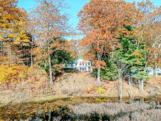 352 Sloperville Rd, Albion, NY 13302 - view of yard