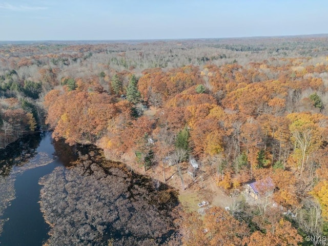 352 Sloperville Rd, Albion, NY 13302 - aerial view of property's location featuring a heavily wooded area and a large body of water