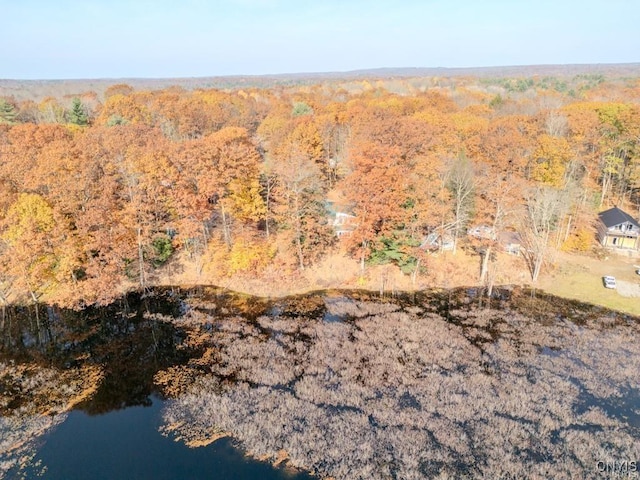 352 Sloperville Rd, Albion, NY 13302 - aerial view of property and surrounding area featuring a heavily wooded area and a large body of water
