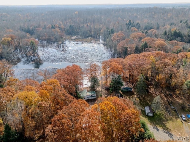 352 Sloperville Rd, Albion, NY 13302 - aerial view of property and surrounding area featuring a forest