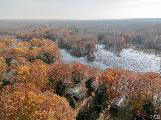 352 Sloperville Rd, Albion, NY 13302 - view of property location with a heavily wooded area and a large body of water
