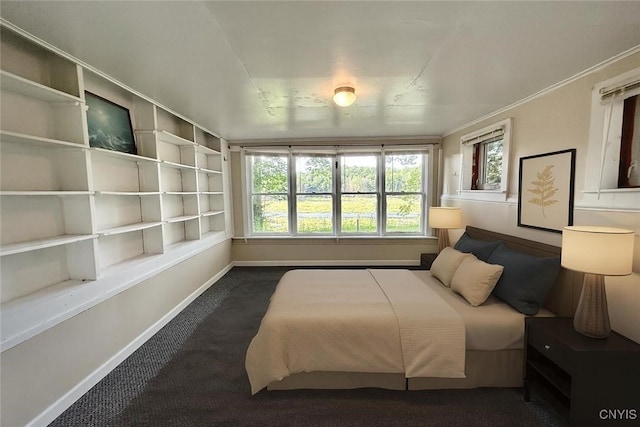 352 Sloperville Rd, Albion, NY 13302 - bedroom featuring dark carpet and baseboards