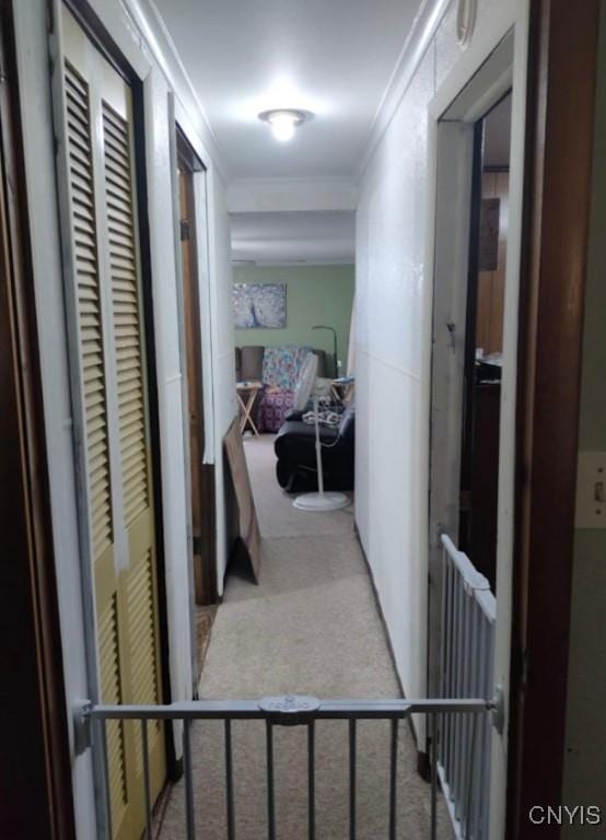 30 Wilson St, Gouverneur, NY 13642 - corridor featuring carpet floors and ornamental molding
