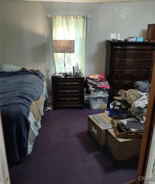 30 Wilson St, Gouverneur, NY 13642 - bedroom featuring carpet floors