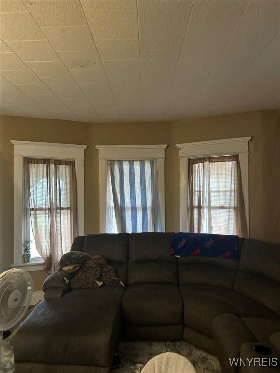 50 Hubbell Ave, Buffalo, NY 14220 - living room with healthy amount of natural light