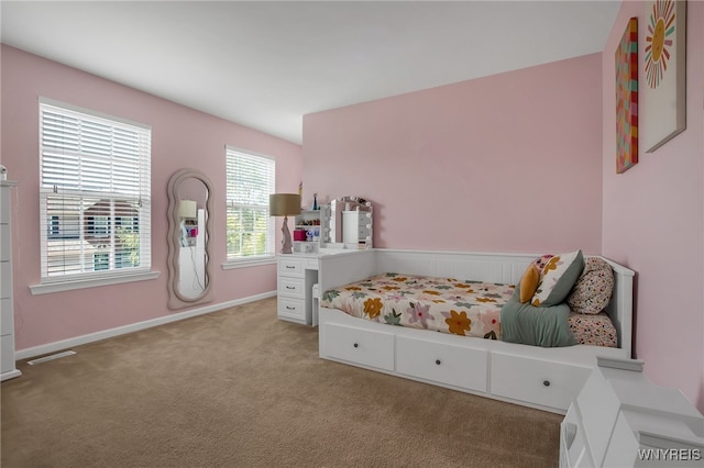 5 Scooter Ln, Hamburg, NY 14075 - bedroom with light carpet and baseboards