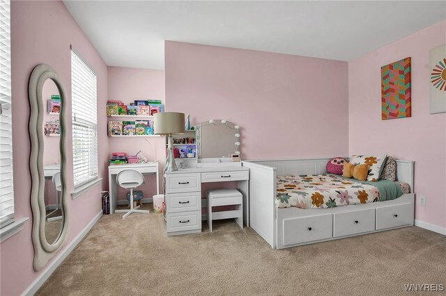 5 Scooter Ln, Hamburg, NY 14075 - bedroom featuring light carpet and baseboards