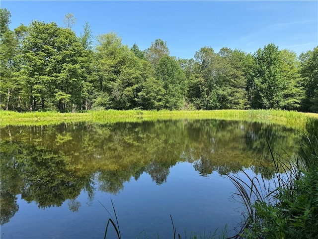 672 Backus Rd, New Lisbon, NY 13415 - water view with a forest