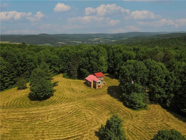 672 Backus Rd, New Lisbon, NY 13415 - aerial view of property and surrounding area with a heavily wooded area
