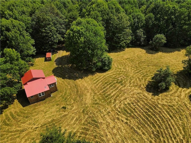 672 Backus Rd, New Lisbon, NY 13415 - view from above of property