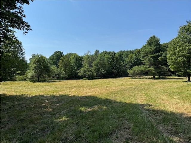 672 Backus Rd, New Lisbon, NY 13415 - view of green lawn with a forest view and a view of countryside