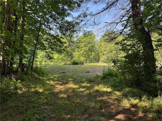 672 Backus Rd, New Lisbon, NY 13415 - view of tree filled area