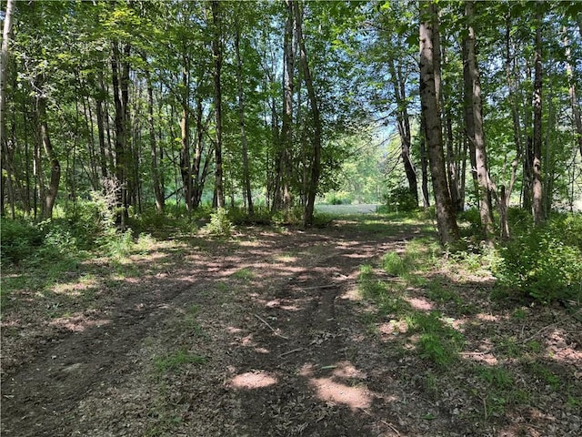 672 Backus Rd, New Lisbon, NY 13415 - view of nature