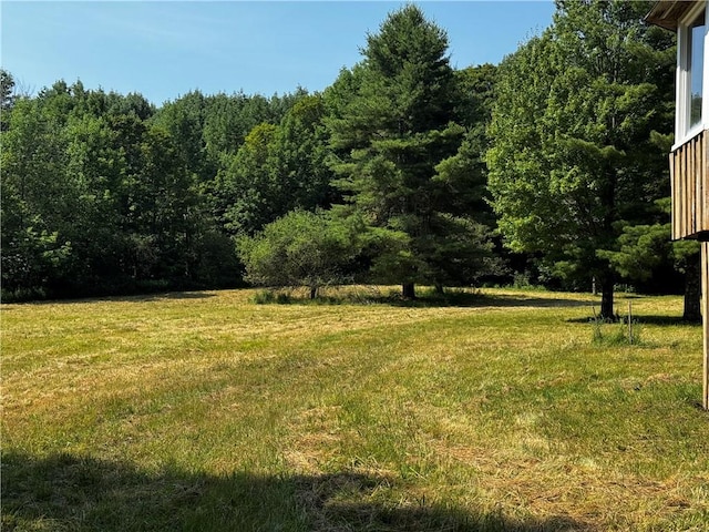 672 Backus Rd, New Lisbon, NY 13415 - view of green lawn with a forest view