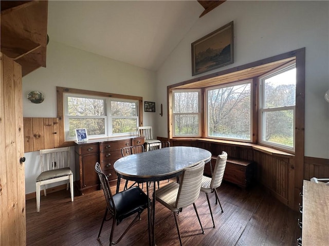 672 Backus Rd, New Lisbon, NY 13415 - dining space with wainscoting, vaulted ceiling, wood walls, and dark wood-style floors