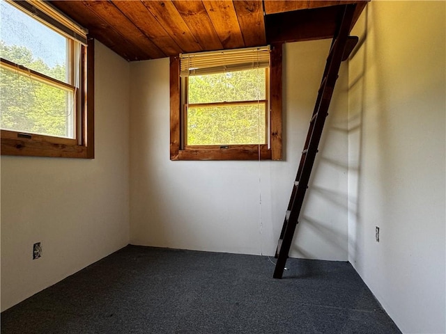 672 Backus Rd, New Lisbon, NY 13415 - unfurnished room with carpet, healthy amount of natural light, and wooden ceiling