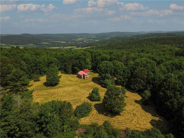 672 Backus Rd, New Lisbon, NY 13415 - aerial view of a forest