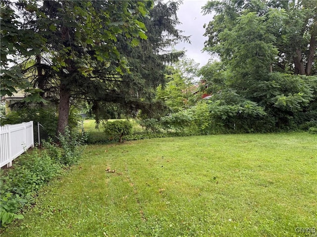 154 Fiscoe Ave, Syracuse, NY 13205 - view of yard