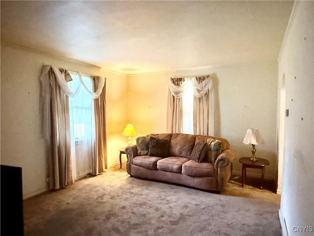 154 Fiscoe Ave, Syracuse, NY 13205 - view of carpeted living room