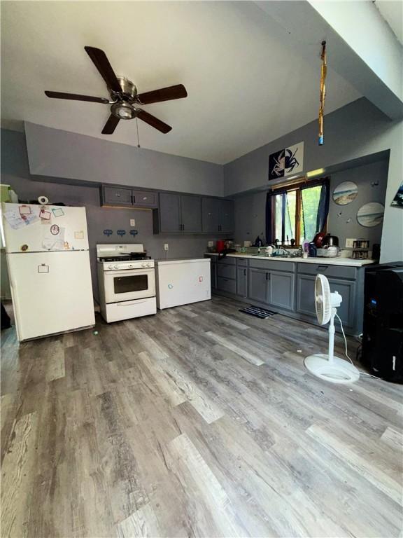 188 5th St, Rochester, NY 14605 - kitchen with white appliances, ceiling fan, wood finished floors, and gray cabinets
