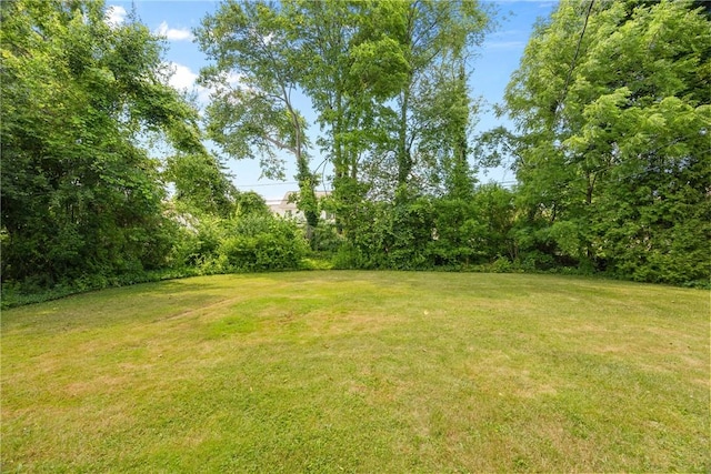 33 W Crest Dr, Gates, NY 14606 - view of green lawn