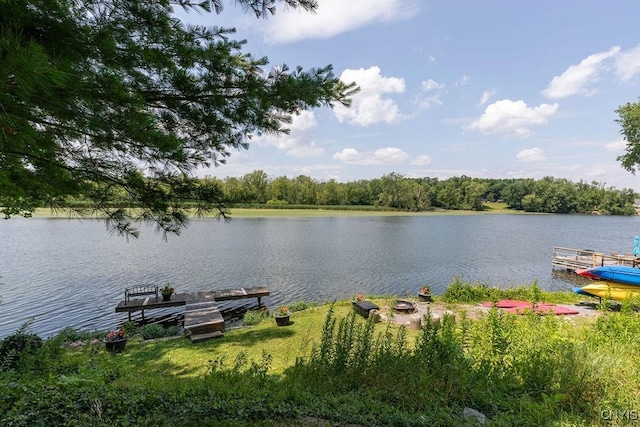 117 Shoreview Dr, Clay, NY 13090 - water view with a dock
