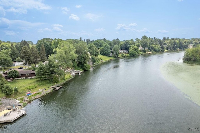 117 Shoreview Dr, Clay, NY 13090 - water view