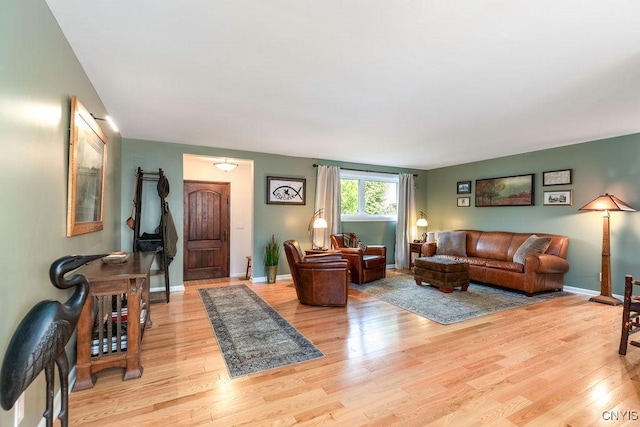 117 Shoreview Dr, Clay, NY 13090 - living room featuring light wood-style floors and baseboards