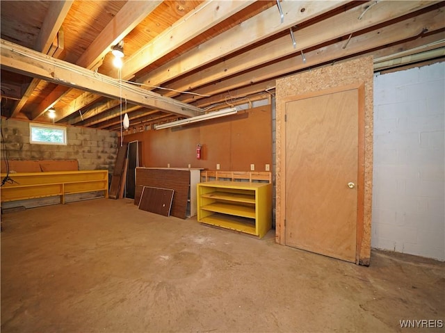 213 Bradshaw Rd, Dryden, NY 13053 - view of below grade area