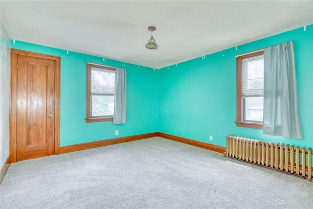 112 Isabelle St, Rochester, NY 14606 - carpeted empty room featuring radiator heating unit, a textured ceiling, and plenty of natural light