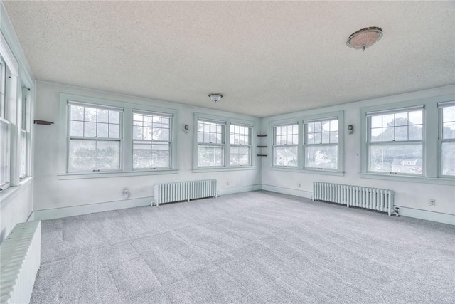 112 Isabelle St, Rochester, NY 14606 - unfurnished sunroom with radiator heating unit